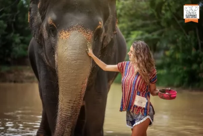 Elephant Sanctuary