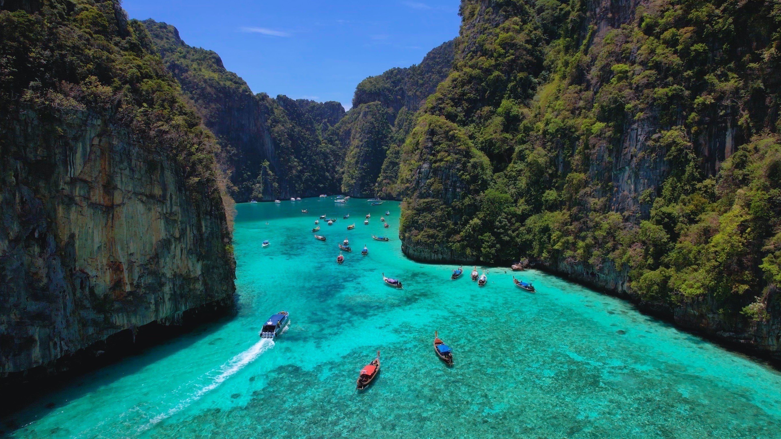 Phi Phi + Maya bay + Bamboo Island by Luxury Speed Catamaran Boat Premium Service (Maximum 30 Pax) 