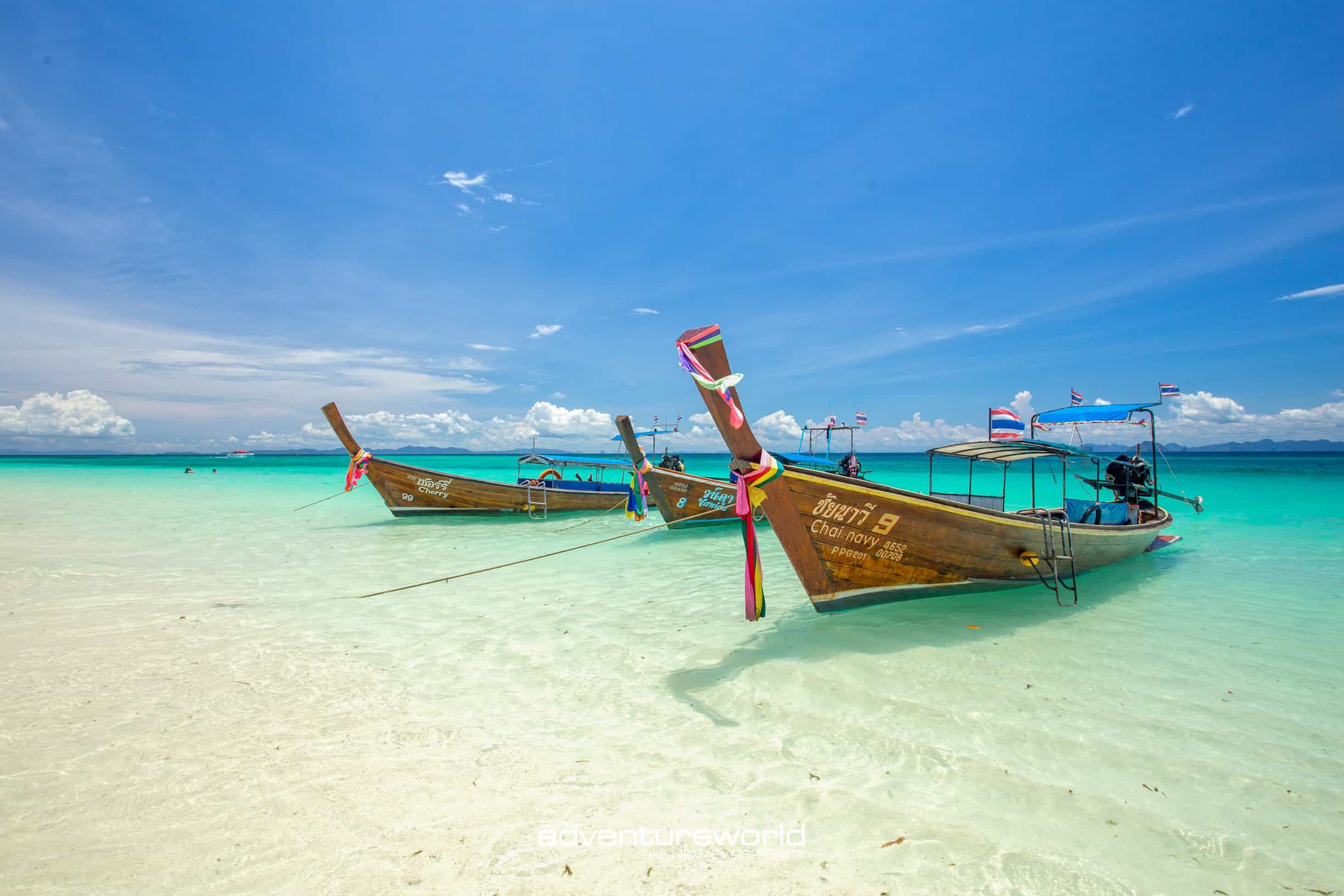 Phi Phi + Maya bay EARLY BIRD 