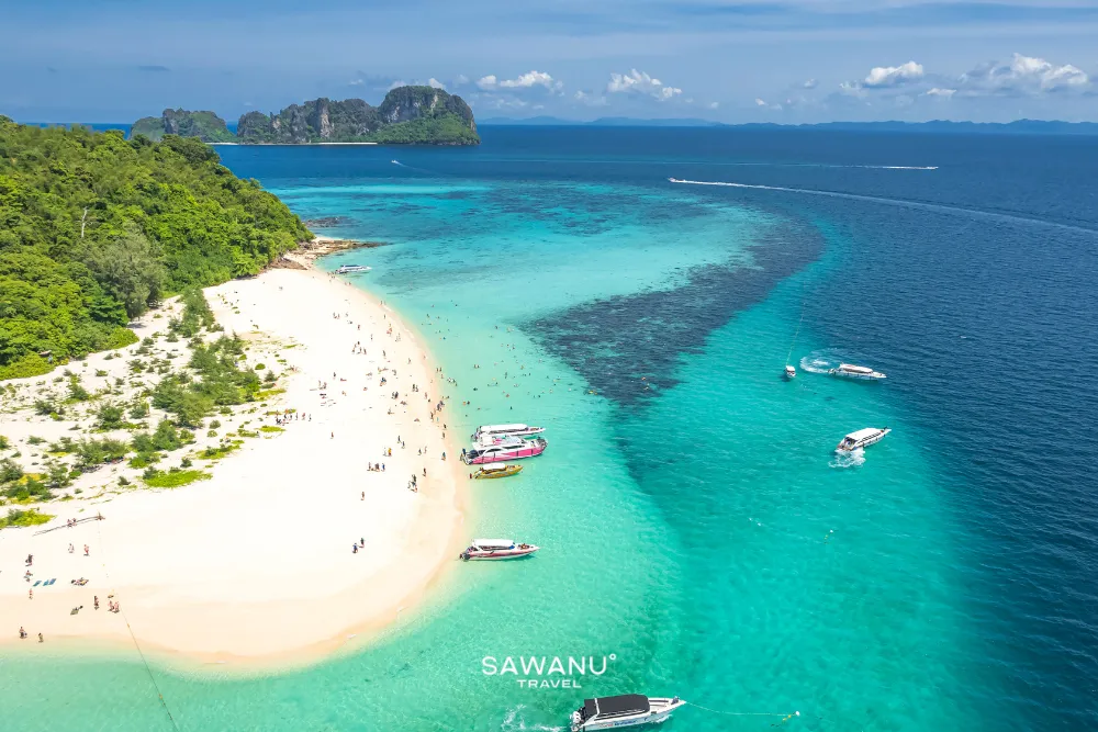 Phi Phi + Maya bay + Bamboo Island by Speed Catamaran