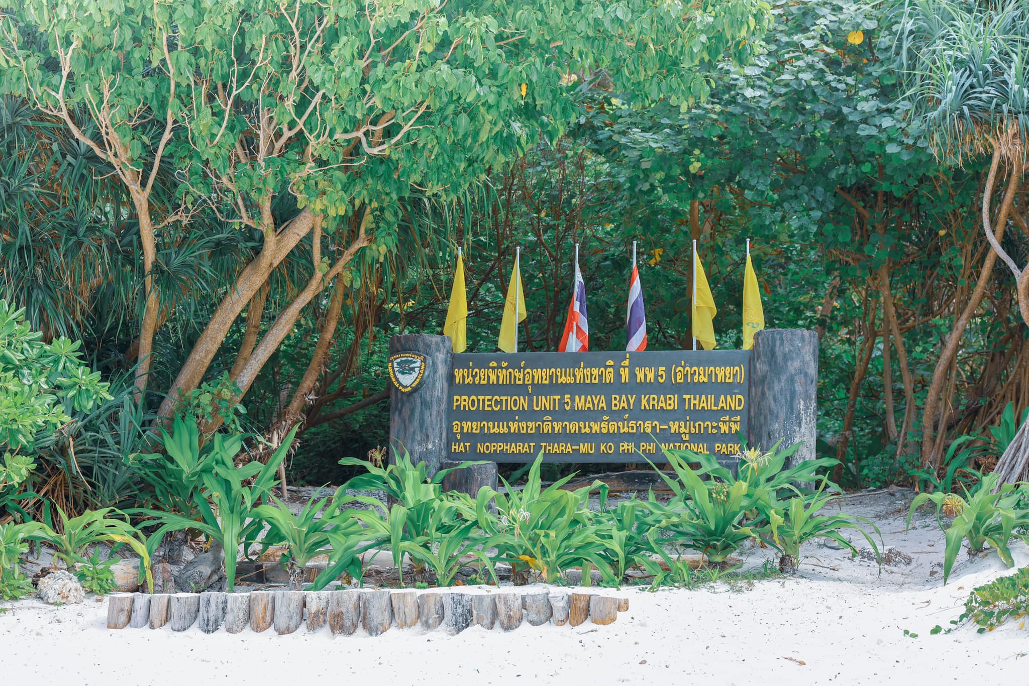 Phi Phi + Maya Bay + Khai Island by Speed boat LAZY PACKAGE