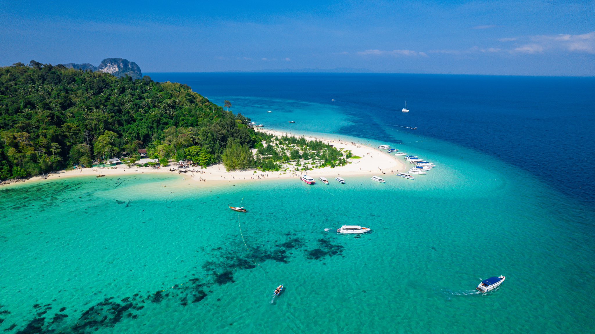 Phi Phi + Maya Bay + Bamboo Islands by Speedboat