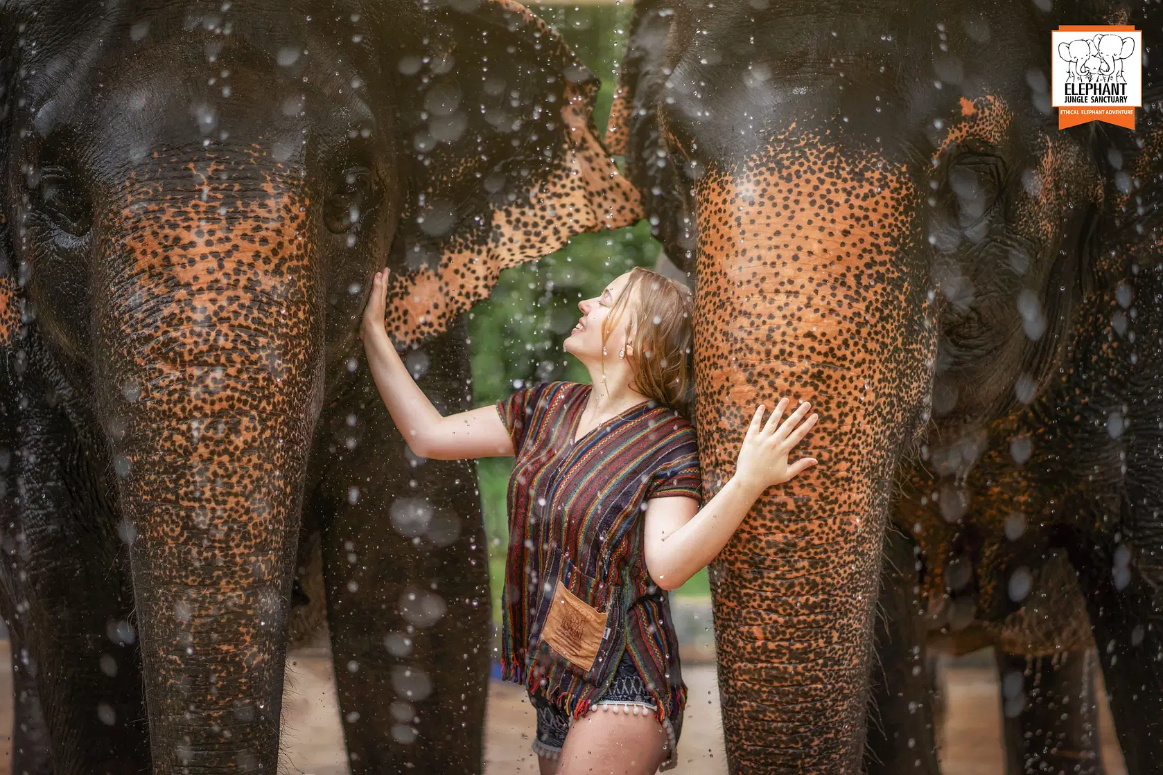 Elephant Jungle Sanctuary