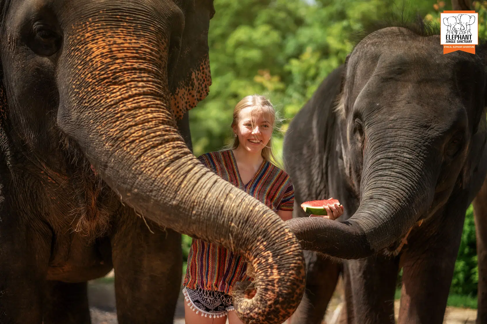 Elephant Jungle Sanctuary