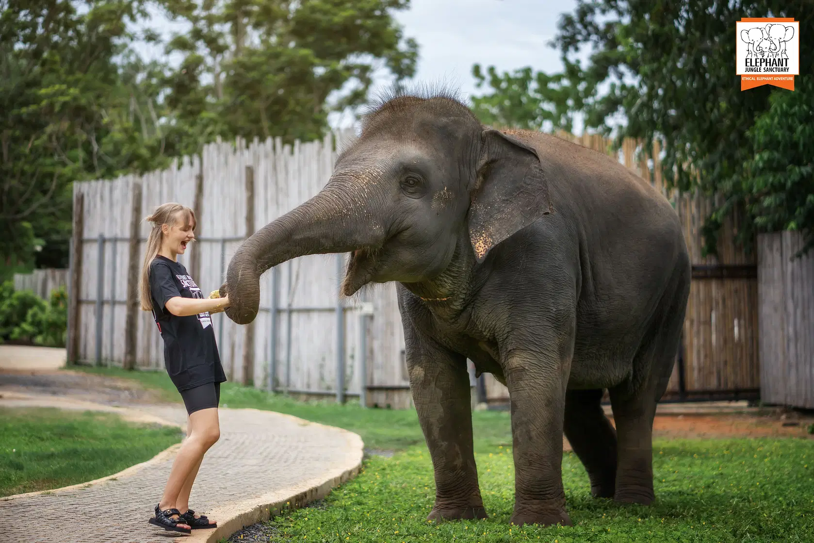 Elephant Jungle Sanctuary