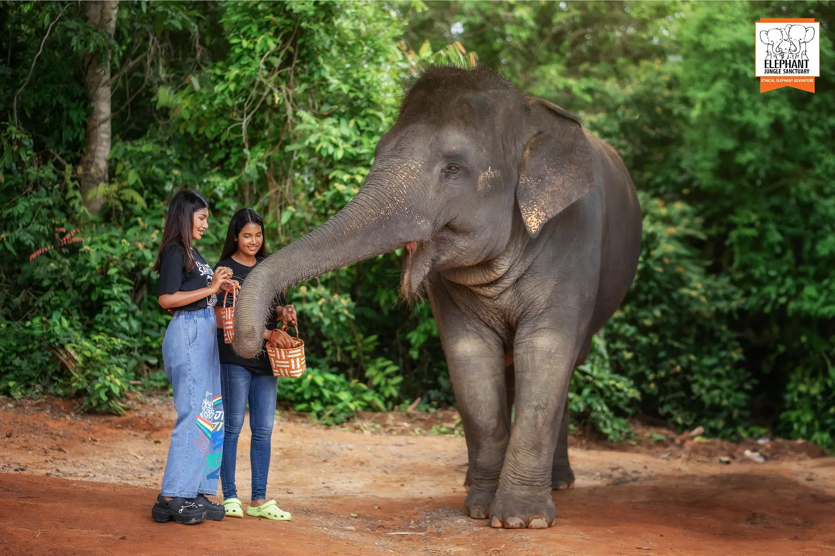 Elephant Jungle Sanctuary
