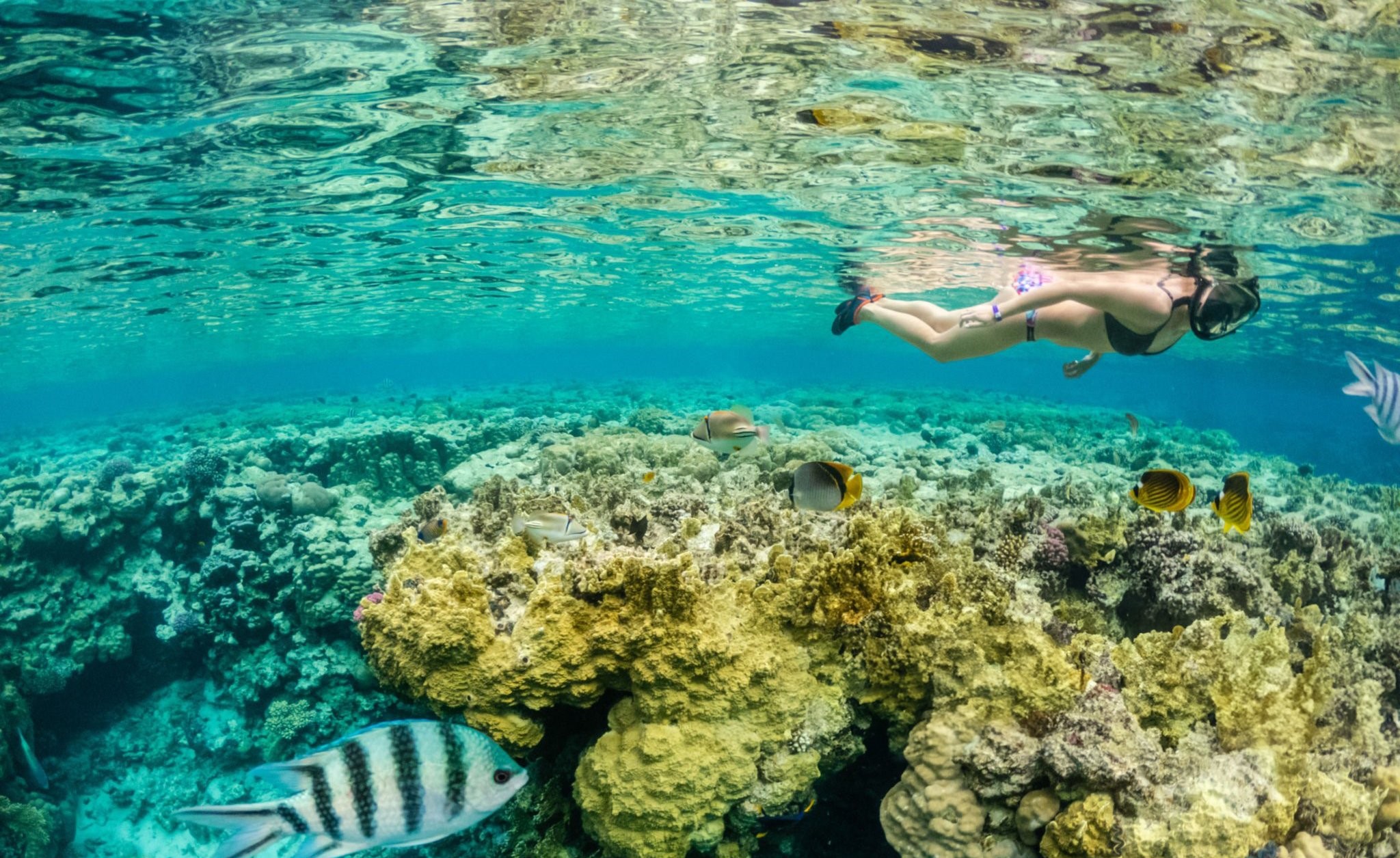 Coral Island (Kahung Beach) Full day by Speedboat