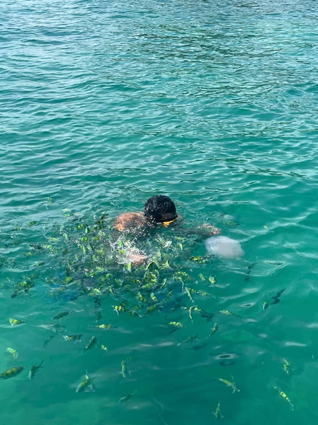 3 Khai Islands FULL DAY tours