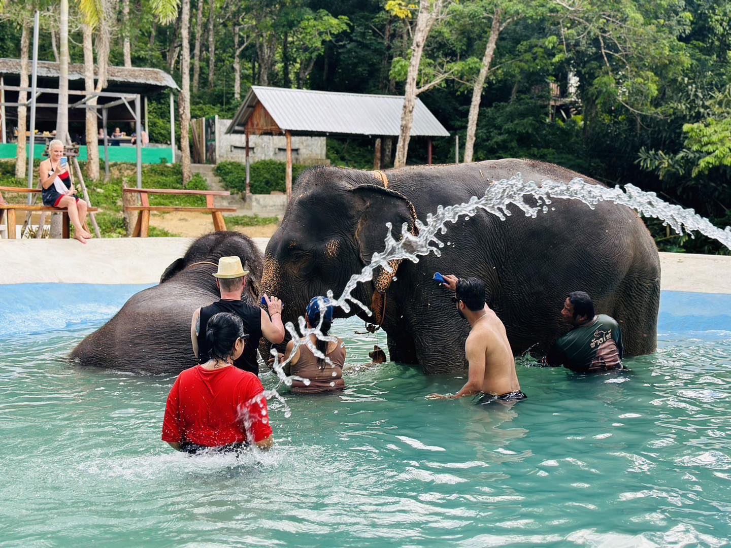 PHUKET ELEPHANT SANCTUARY VILLAGE