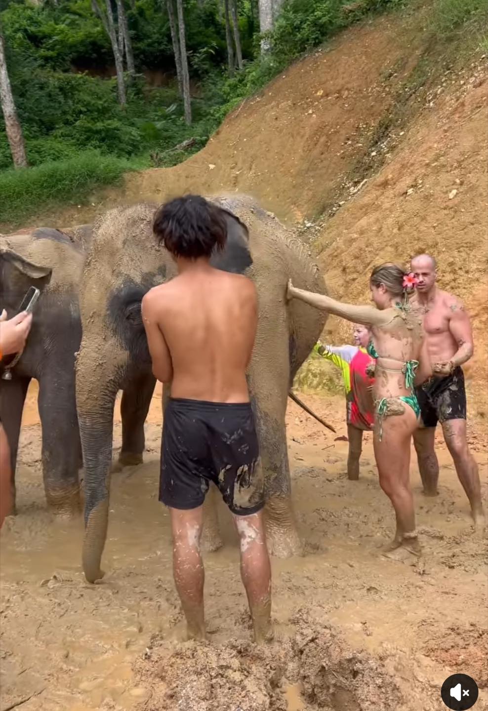 PHUKET ELEPHANT SANCTUARY VILLAGE