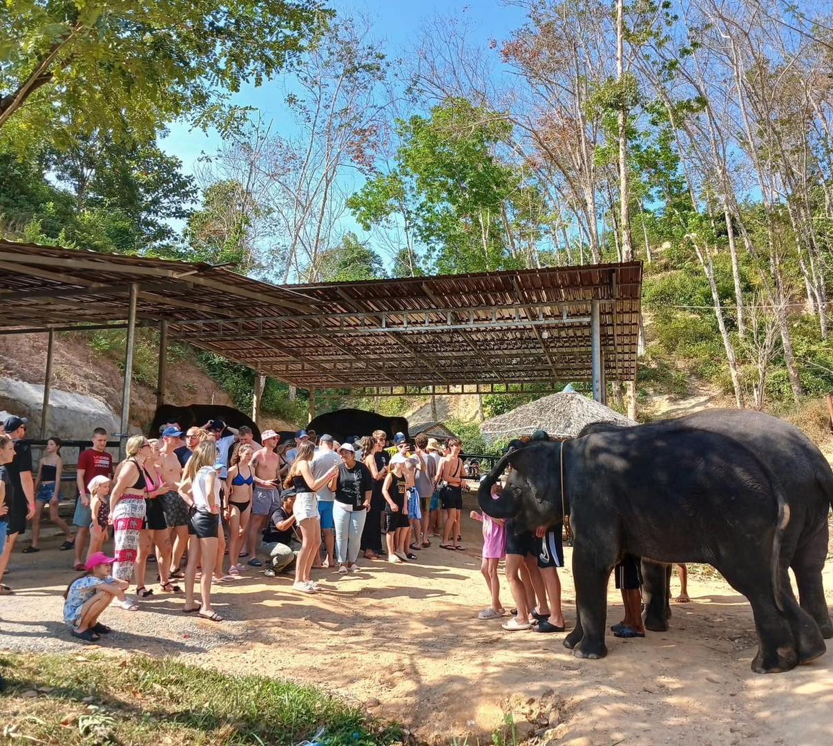 PHUKET ELEPHANT SANCTUARY VILLAGE