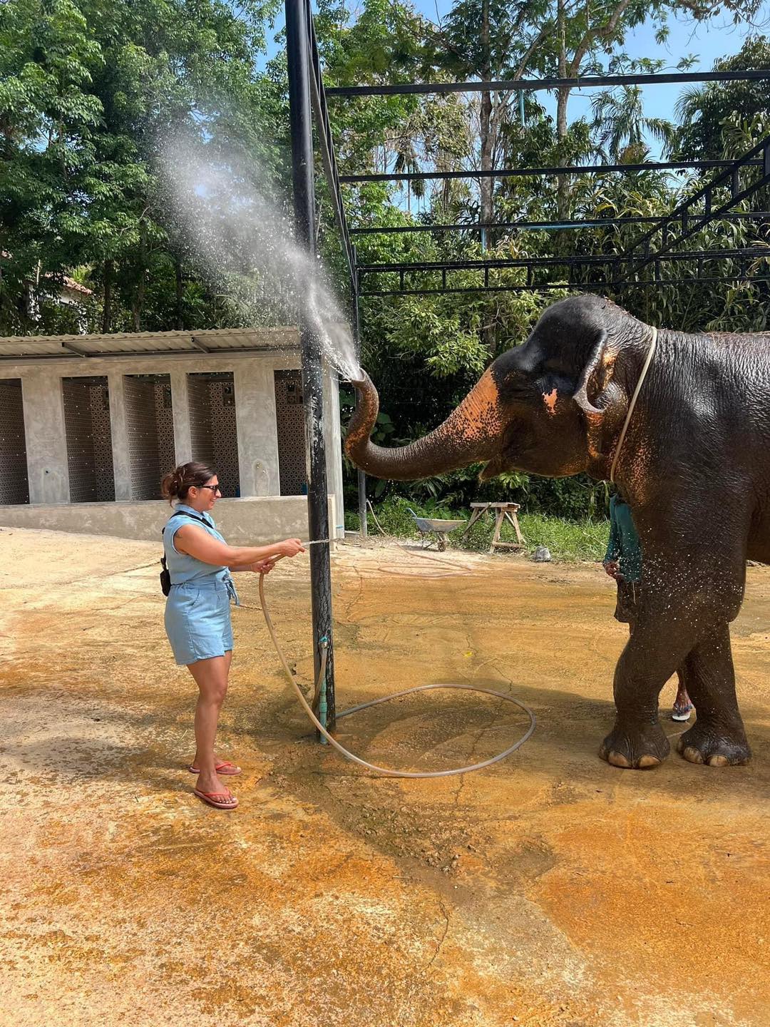 PHUKET ELEPHANT SANCTUARY VILLAGE