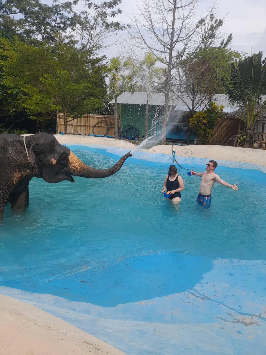 PHUKET ELEPHANT SANCTUARY VILLAGE