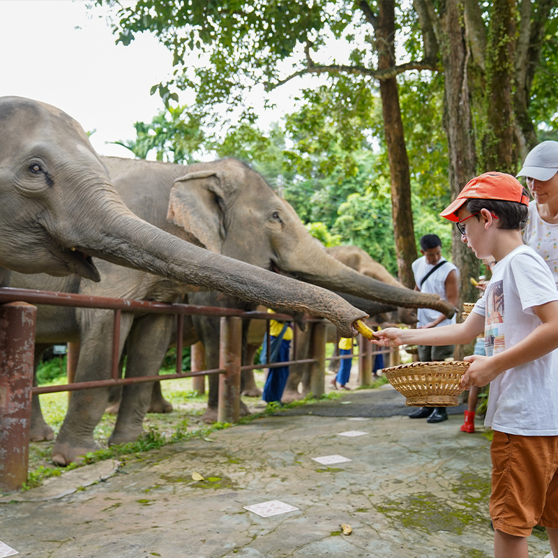 BUKIT ELEPHANT PARK