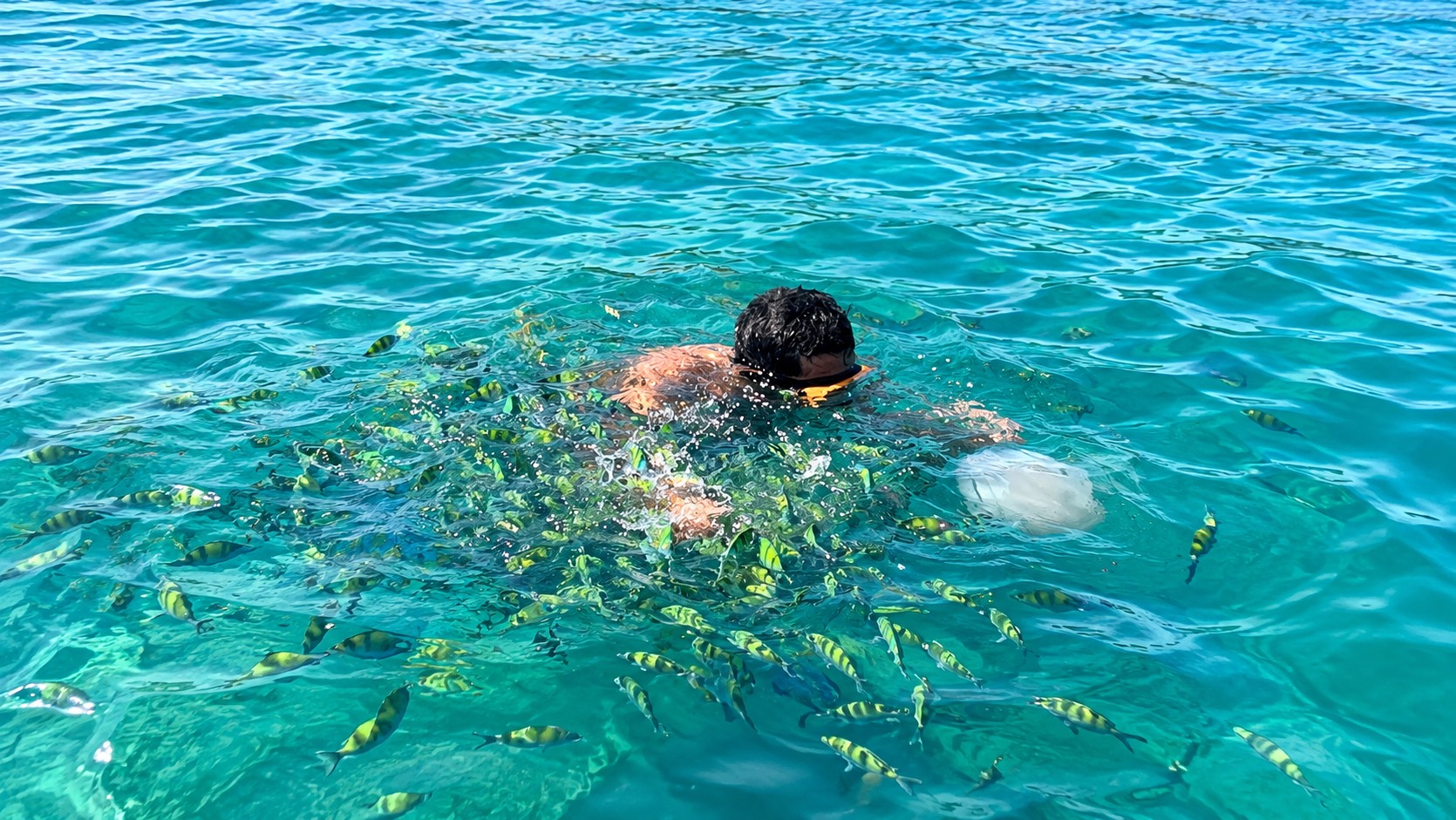 3 Khai Islands FULL DAY tours